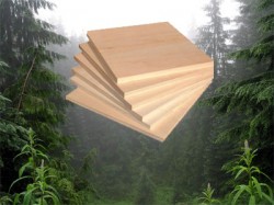 Фанера, OSB